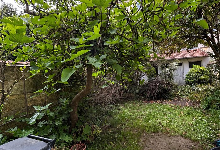 Cour avant intervention — Solution Bâti Vert